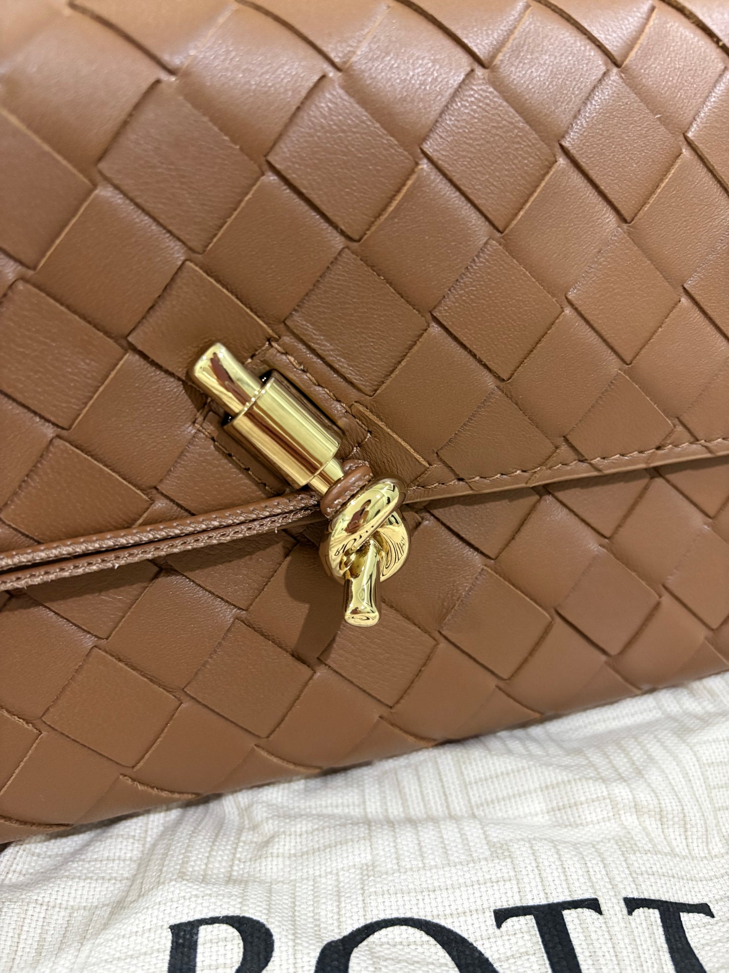 Bottega Veneta Andiamo clutch