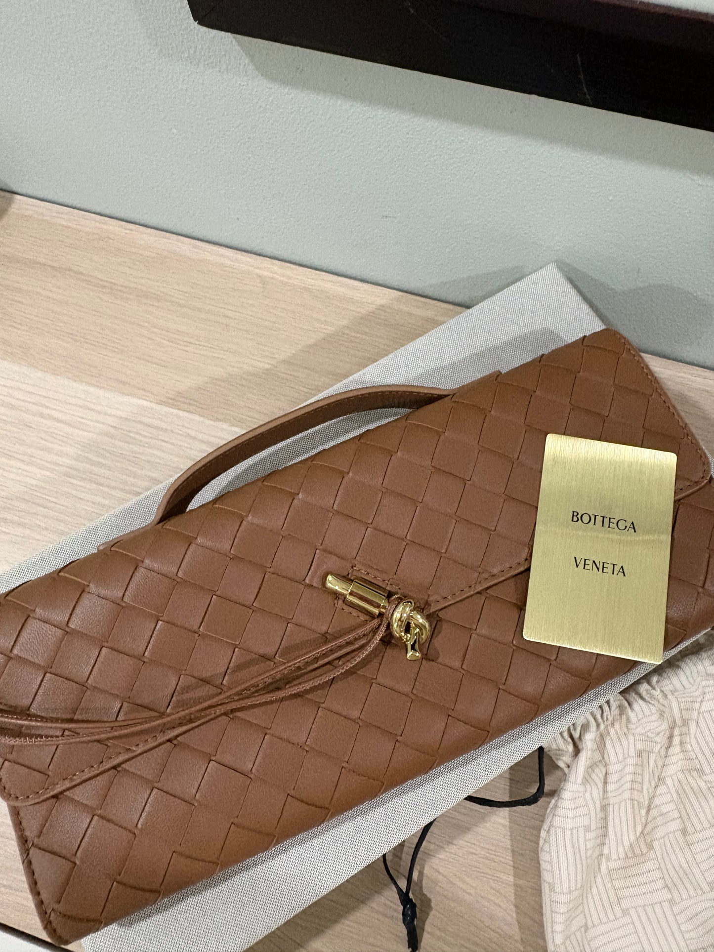 Bottega Veneta Andiamo clutch